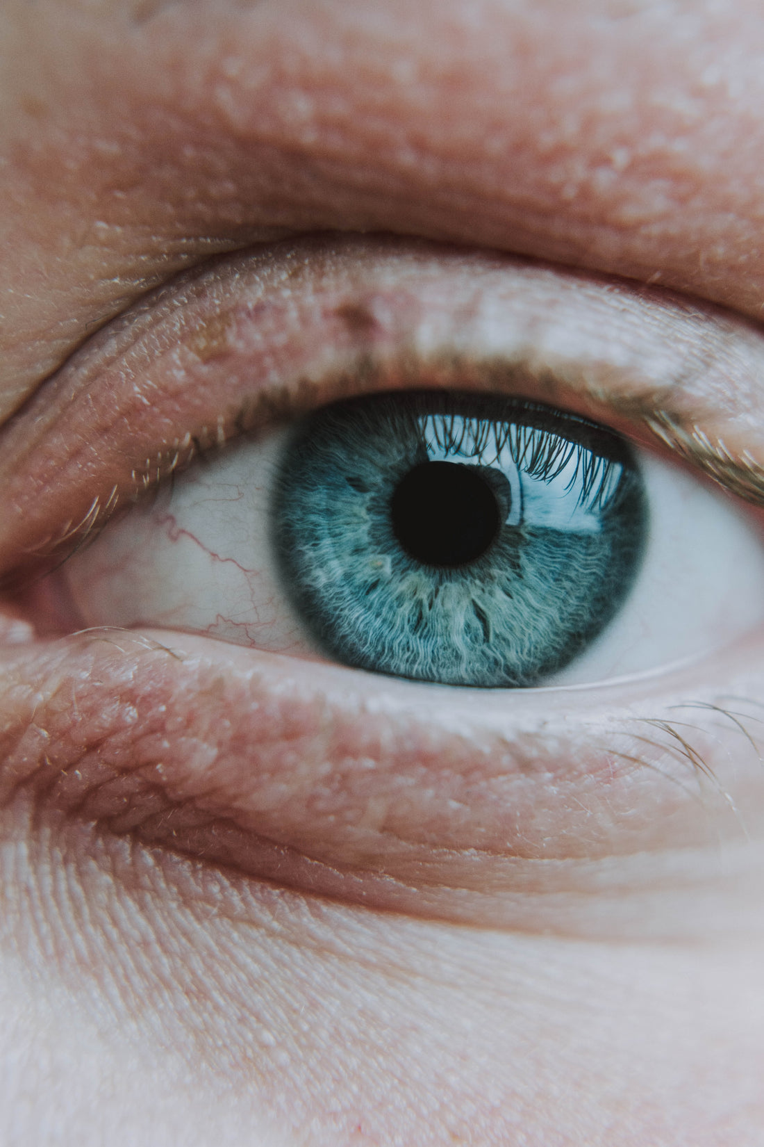 Role Of Vit. E In Skin Serum