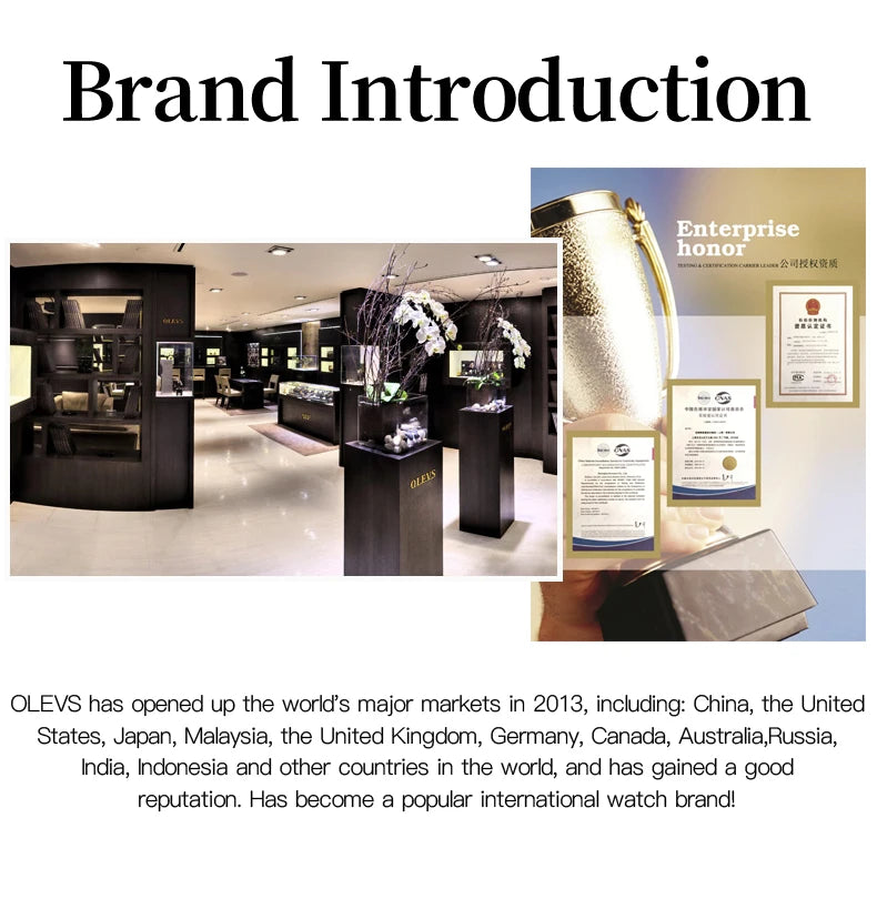 OLEVS Brand Ladies' Watch Fully Automatic Mechanical Watch Fashion Leather Strap 6601